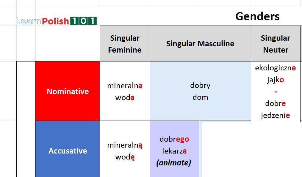 Polish grammar cases - Masculine Animate - Accusative