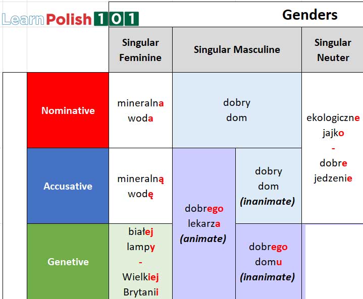 Polish grammar cases - Masculine, Genetive