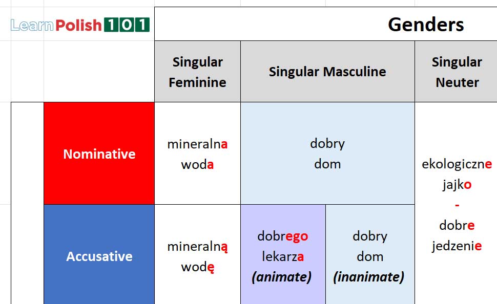 Polish grammar cases - Masculine and Neuter, Accusative