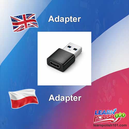 images/nearly-english-polish/adapter.jpg