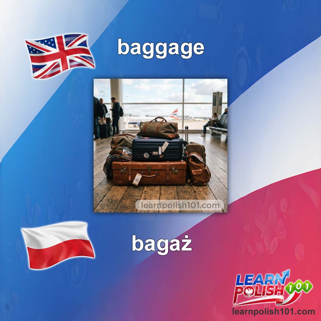 images/nearly-english-polish/bagaz-pl.jpg