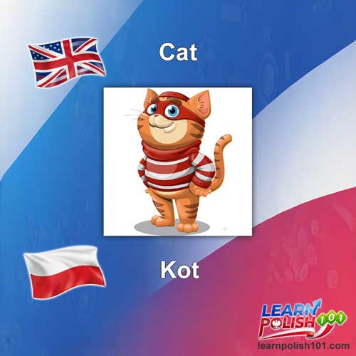 images/nearly-english-polish/kot.jpg