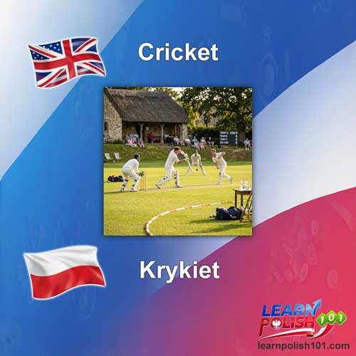 images/nearly-english-polish/krykiet.jpg