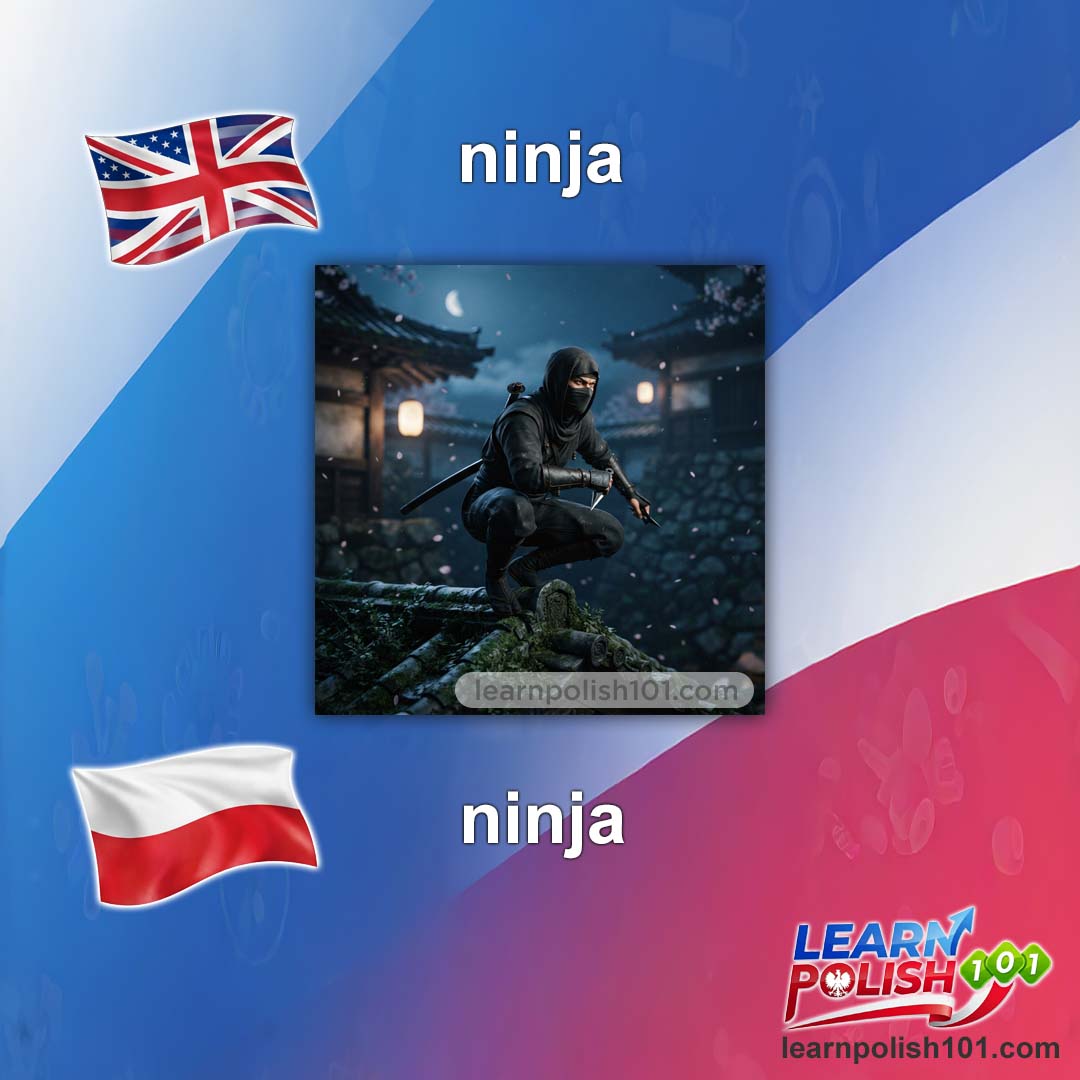 images/nearly-english-polish/ninja-pl.jpg