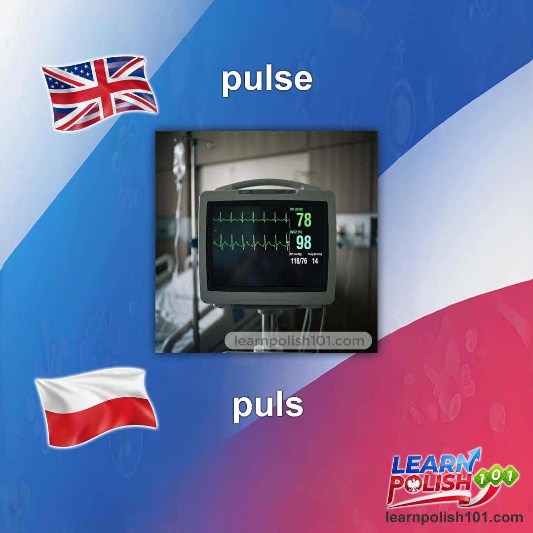 images/nearly-english-polish/puls-pl.jpg