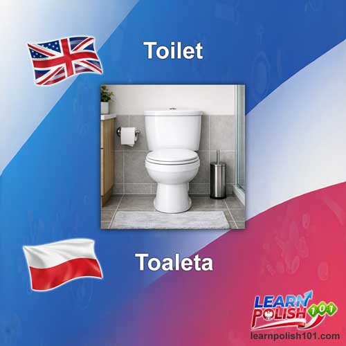images/nearly-english-polish/toaleta.jpg