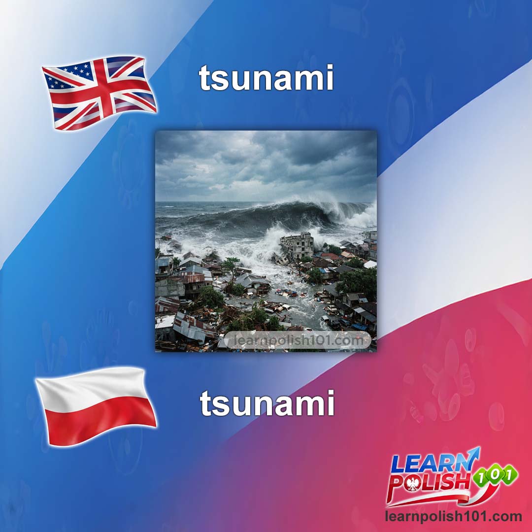 images/nearly-english-polish/tsunami-pl.jpg