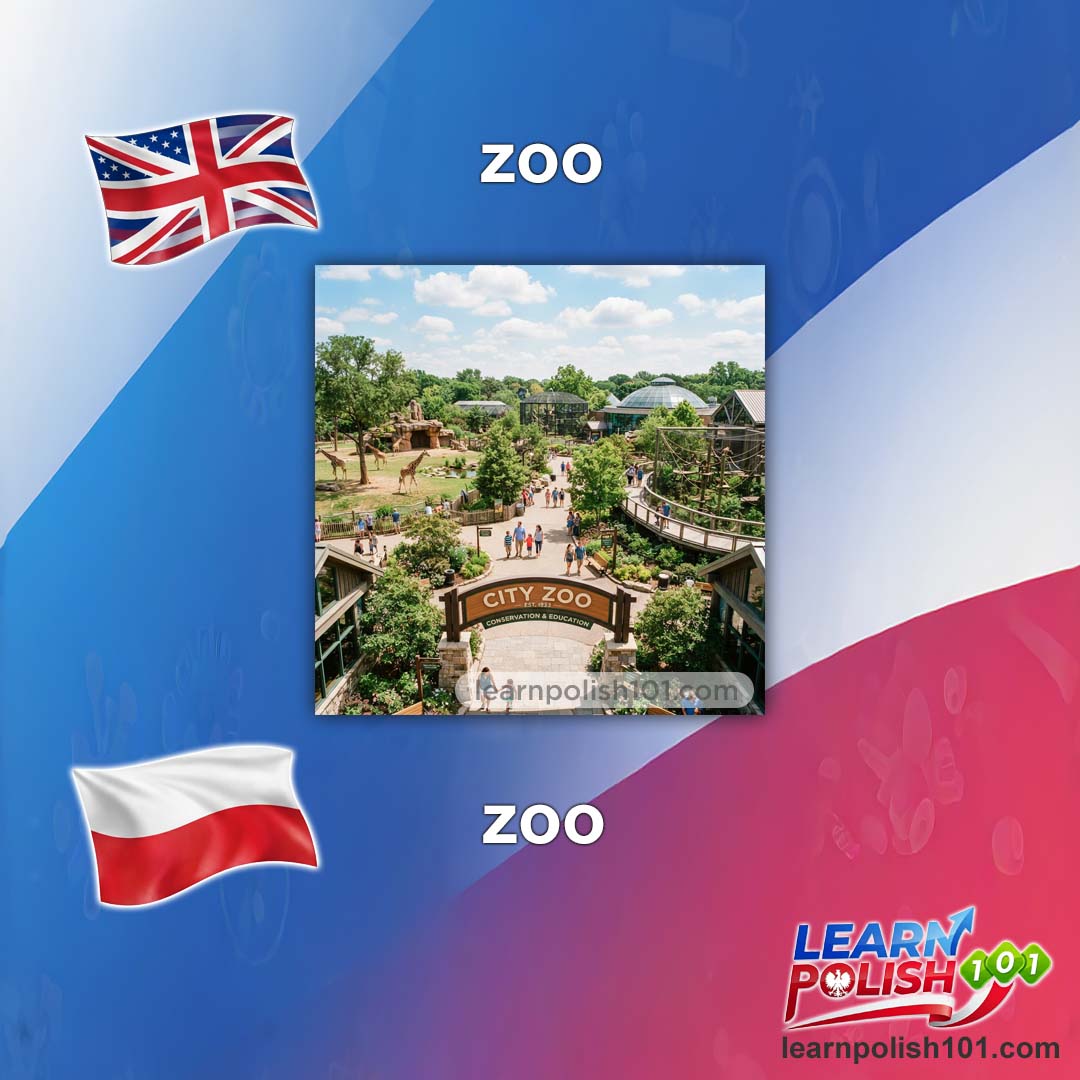 images/nearly-english-polish/zoo-pl.jpg