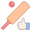 Lubię krykiet icon